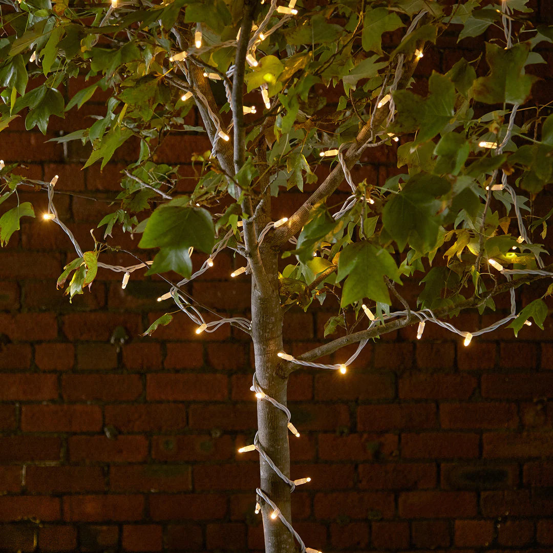 Fairy Lights | LED Copper Wire Outdoor String Lights w/ 8 Modes | IP44 | 2-Pin EU Plug | Warm White